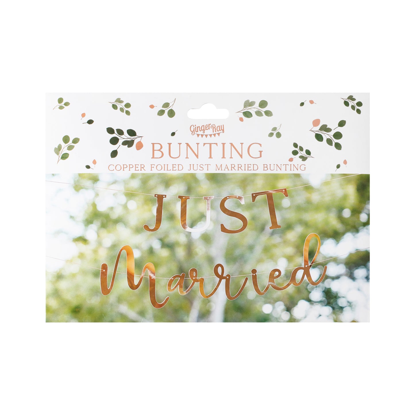 Rose Gold Scripted Just Married Banner
