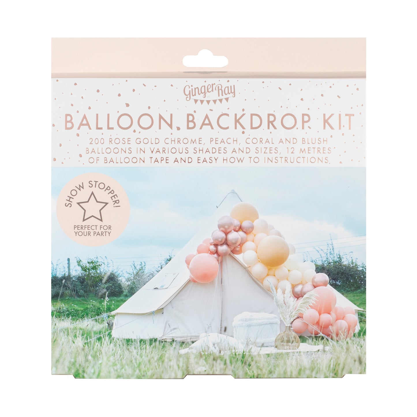 Luxe Peach, Nude And Rose Gold Balloon Arch Kit