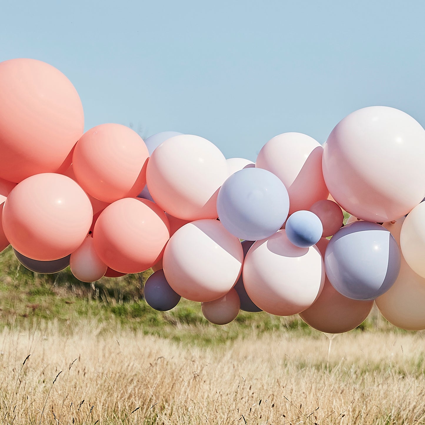 Blush, Nude & Blue Hen Party Balloon Arch Kit