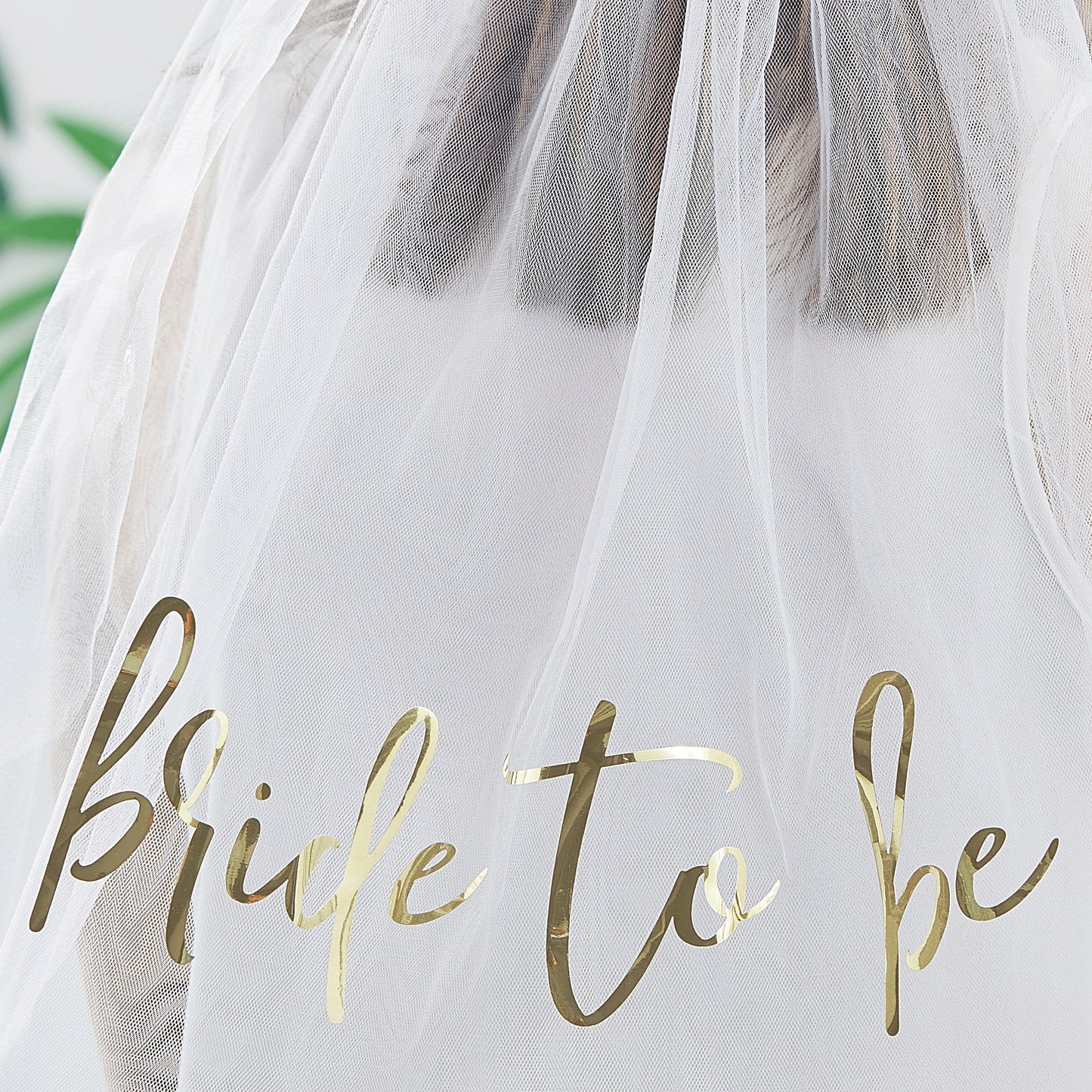 Eucalyptus Bride To Be Hen Party Veil