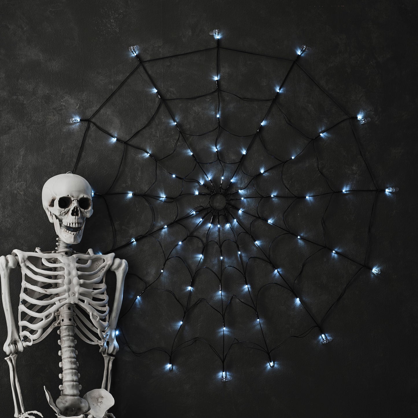 Light Up Halloween Spiderweb