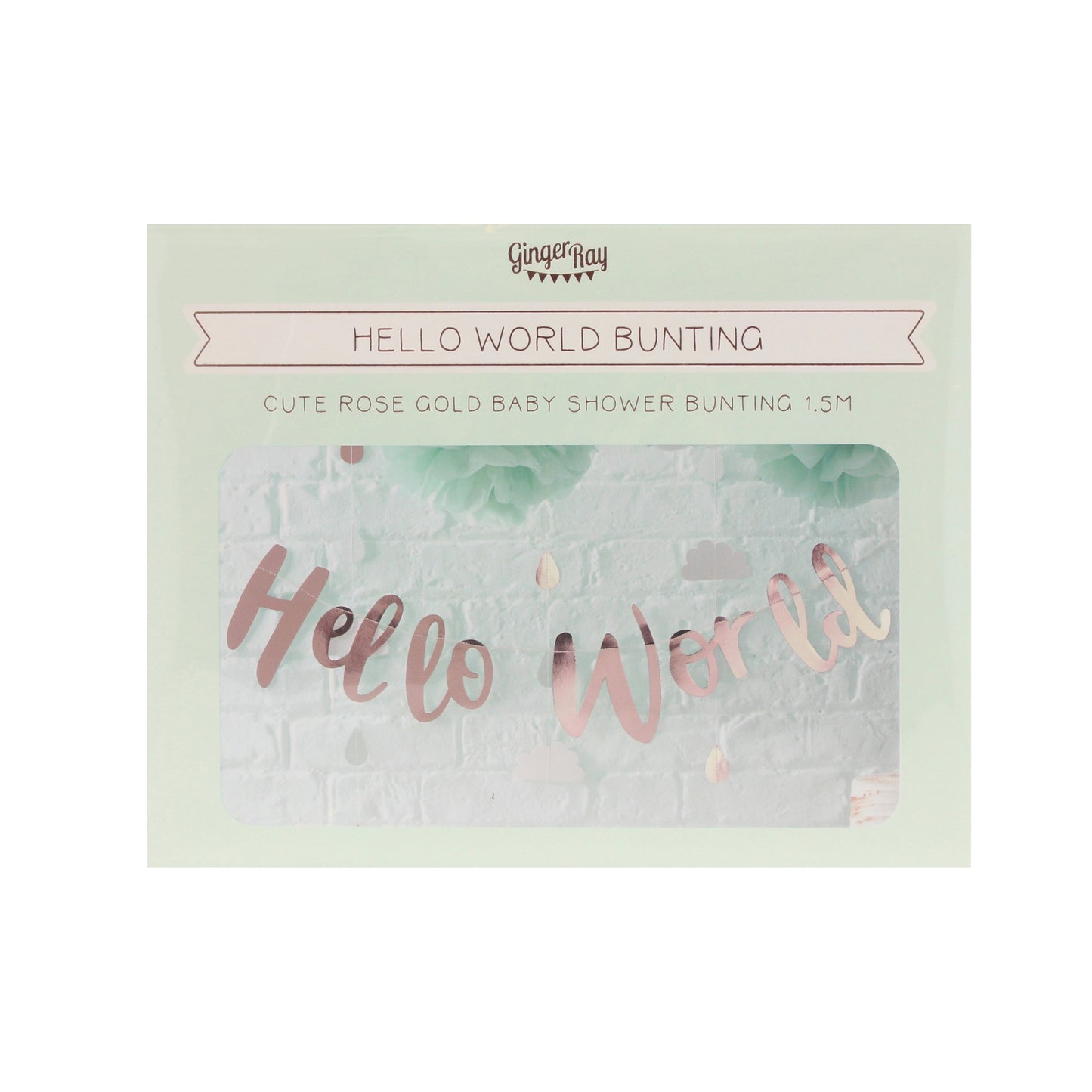 Hello World Rose Gold Baby Shower Bunting