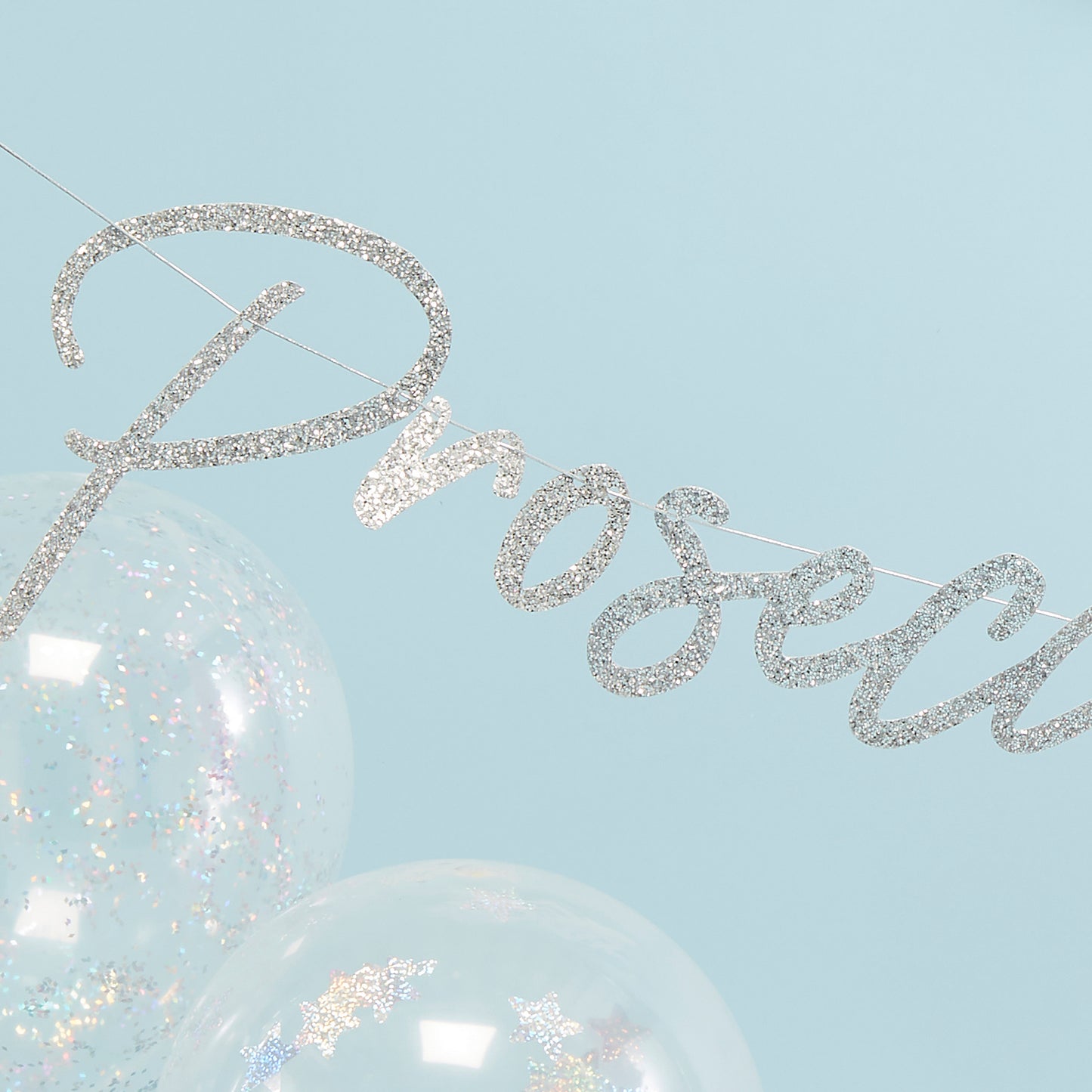 Iridescent Prosecco Ho Ho Bunting - Jolly Vibes