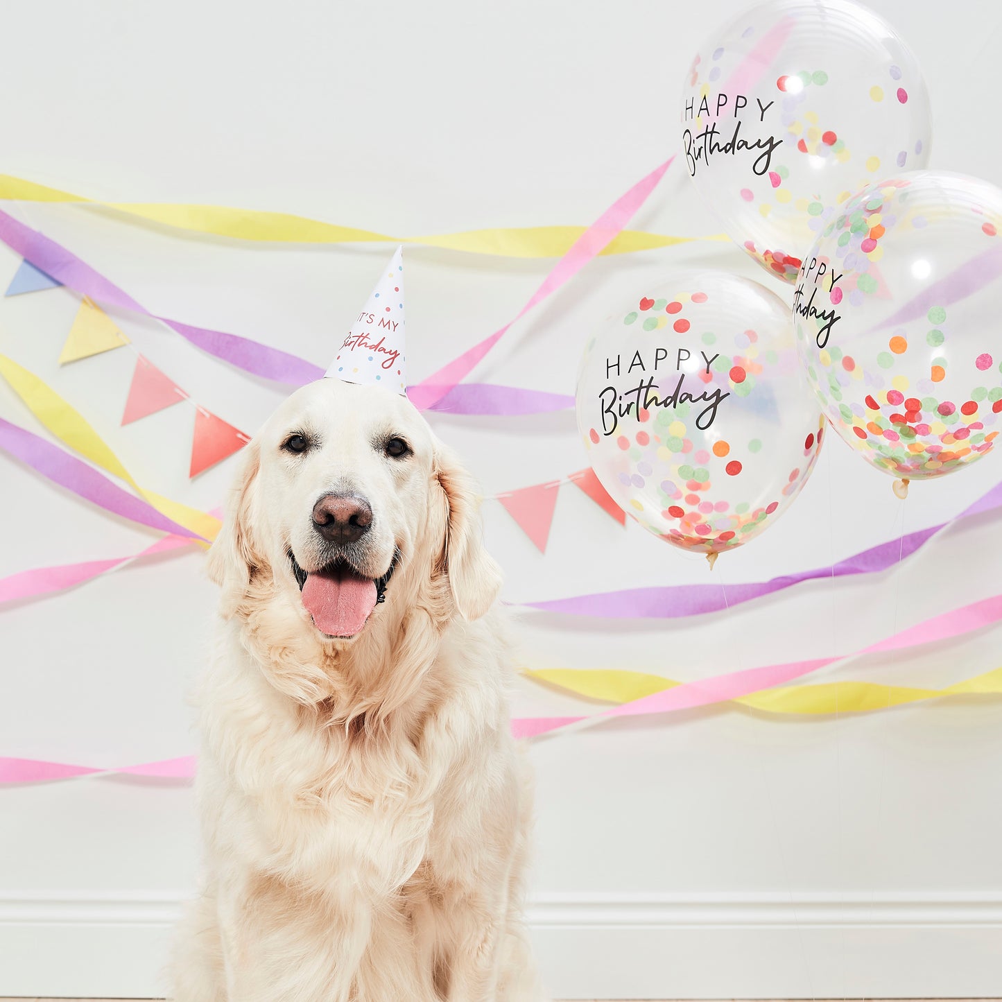 Happy Birthday Pet Party Kit For Dogs & Cats