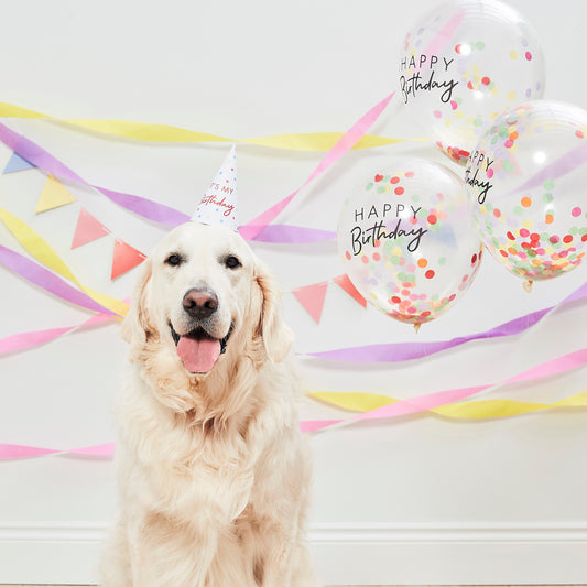 Happy Birthday Pet Party Kit For Dogs & Cats