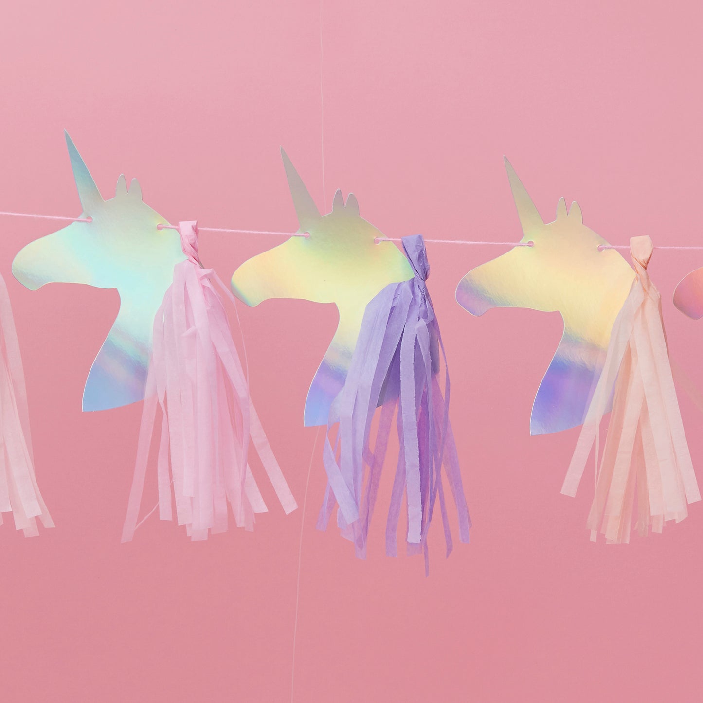 Iridescent Foiled Tassel Unicorn Bunting