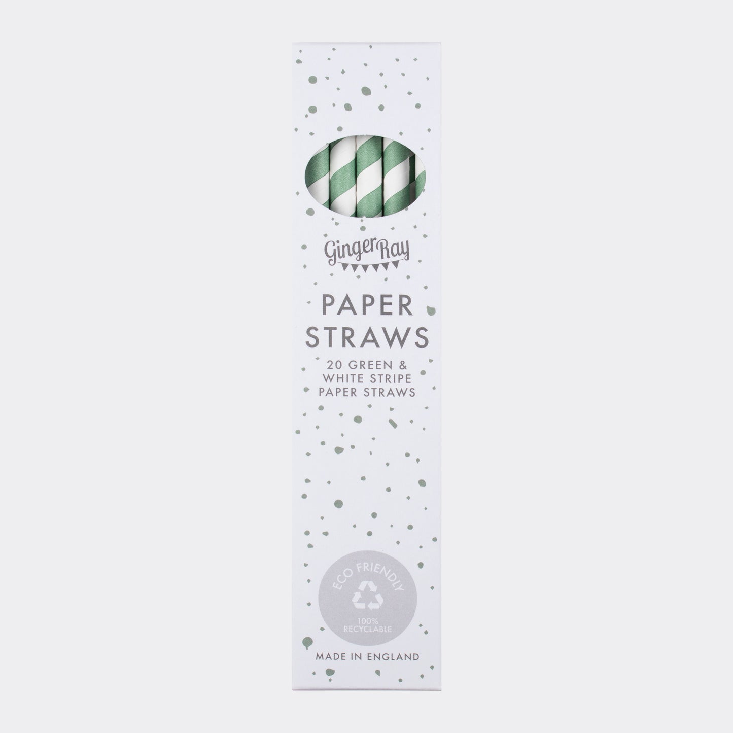 Mint Green Stripe Paper Straws