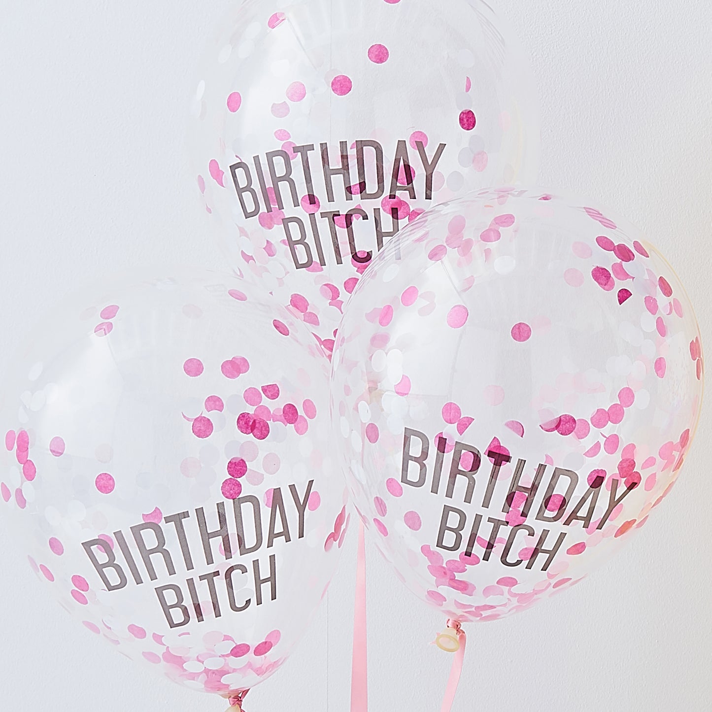 Birthday Bitch Party Balloons & Bunting Kit