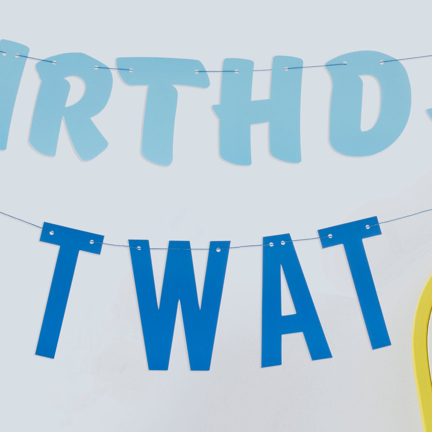 Birthday Twat Birthday Bunting Banner Decoration