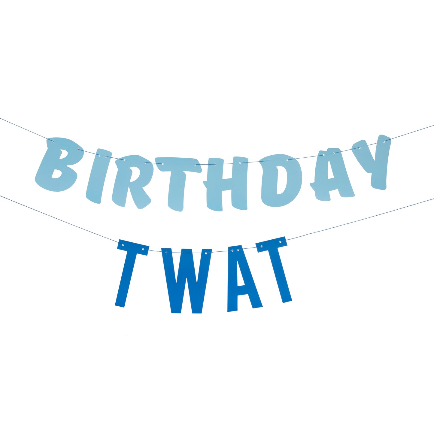 Birthday Twat Birthday Bunting Banner Decoration