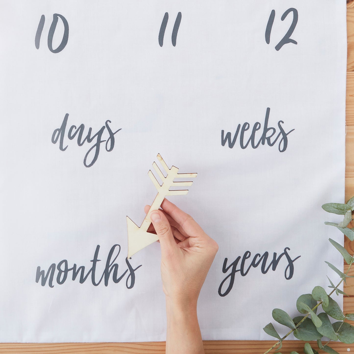 Baby Milestone Blanket Keepsake