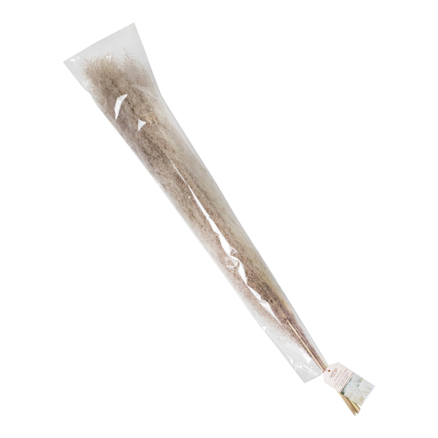 Natural Pampas Grass Decorations