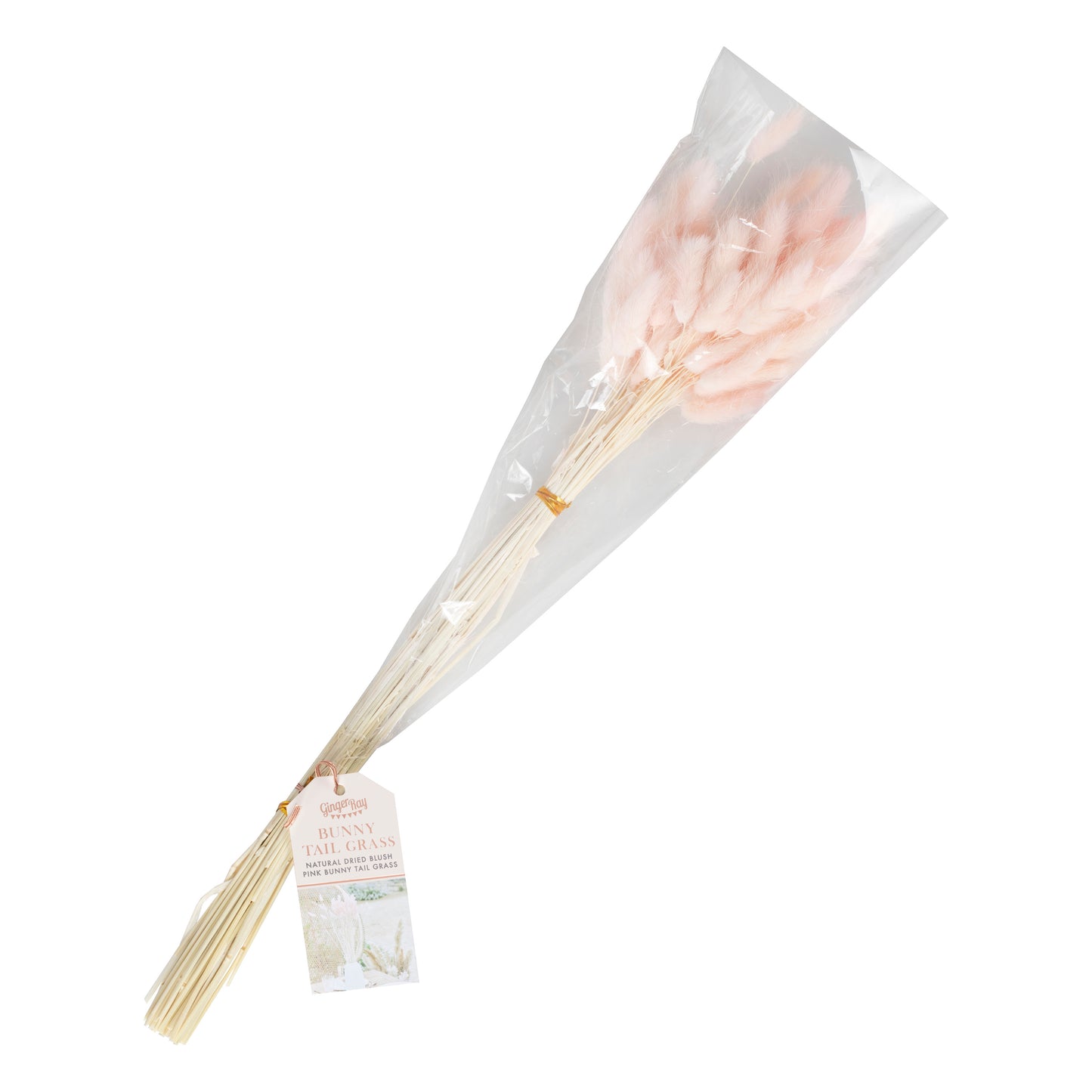 Soft Pink Bunny Tail Pampas Grass