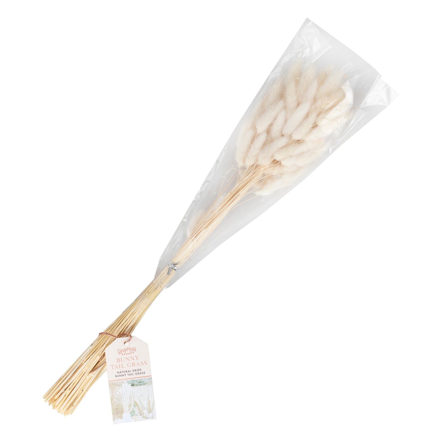 Natural Off White Bunny Tail Pampas Grass