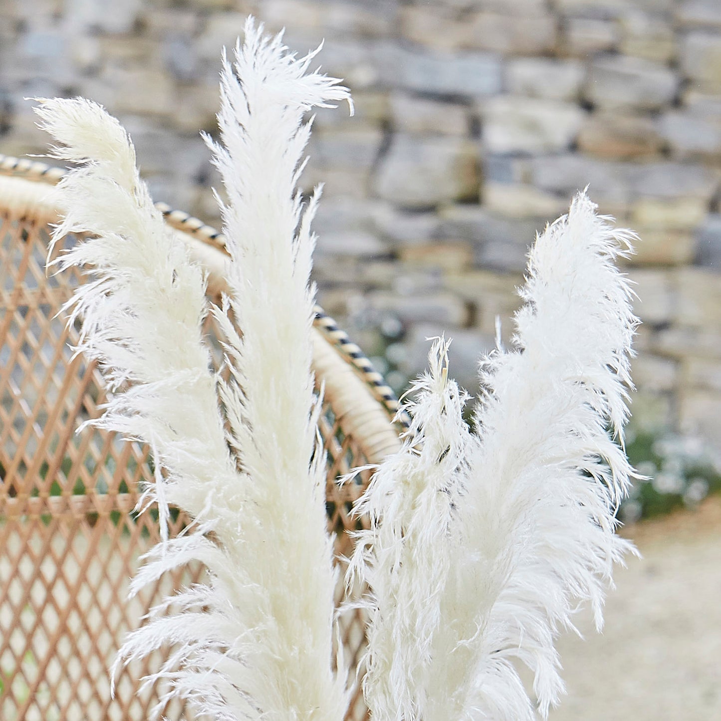 Bleached Pampas Grass Decorations
