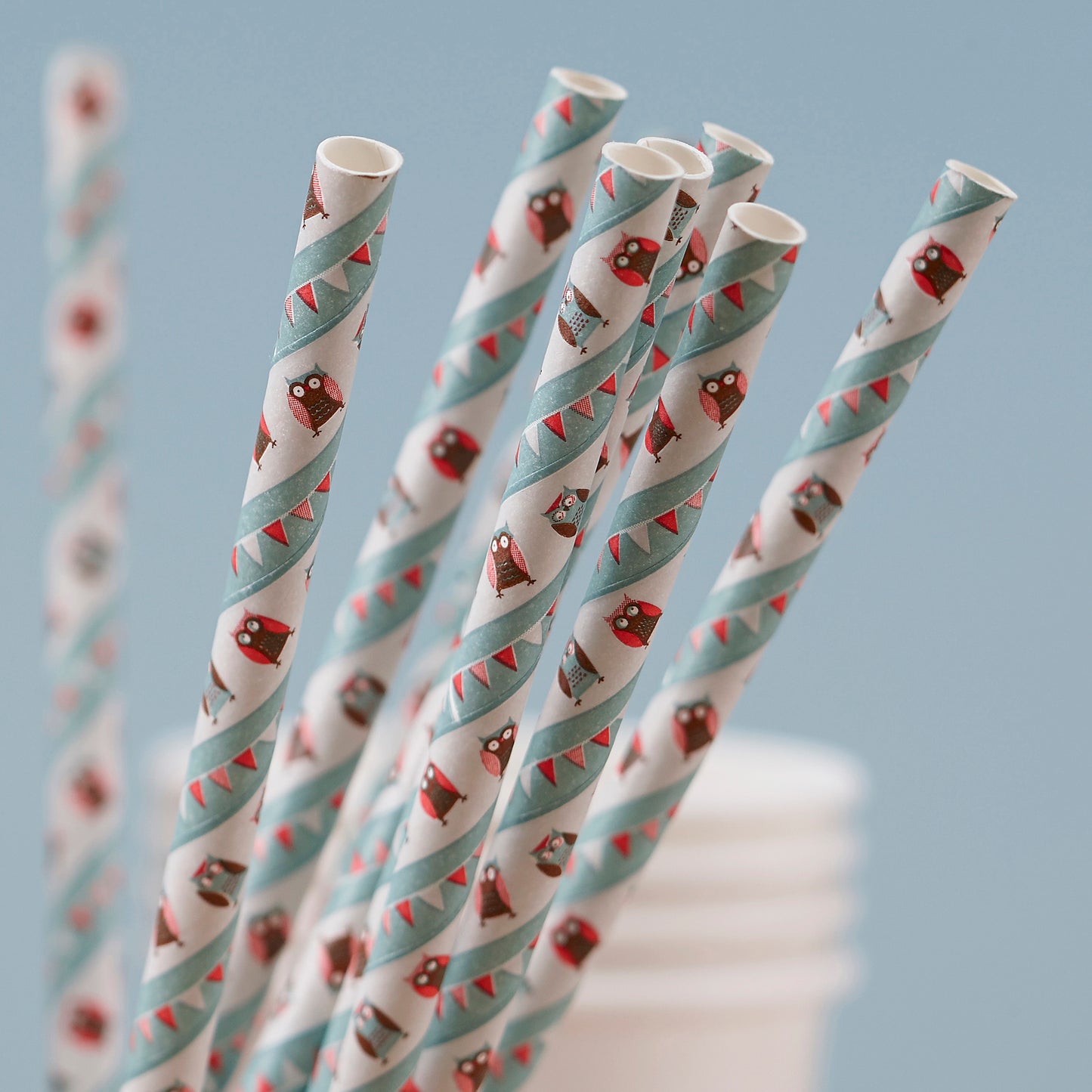 Paper Straws - Patchwork Owl