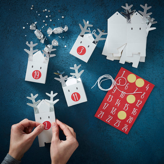 Reindeer Christmas Advent Calendar Boxes
