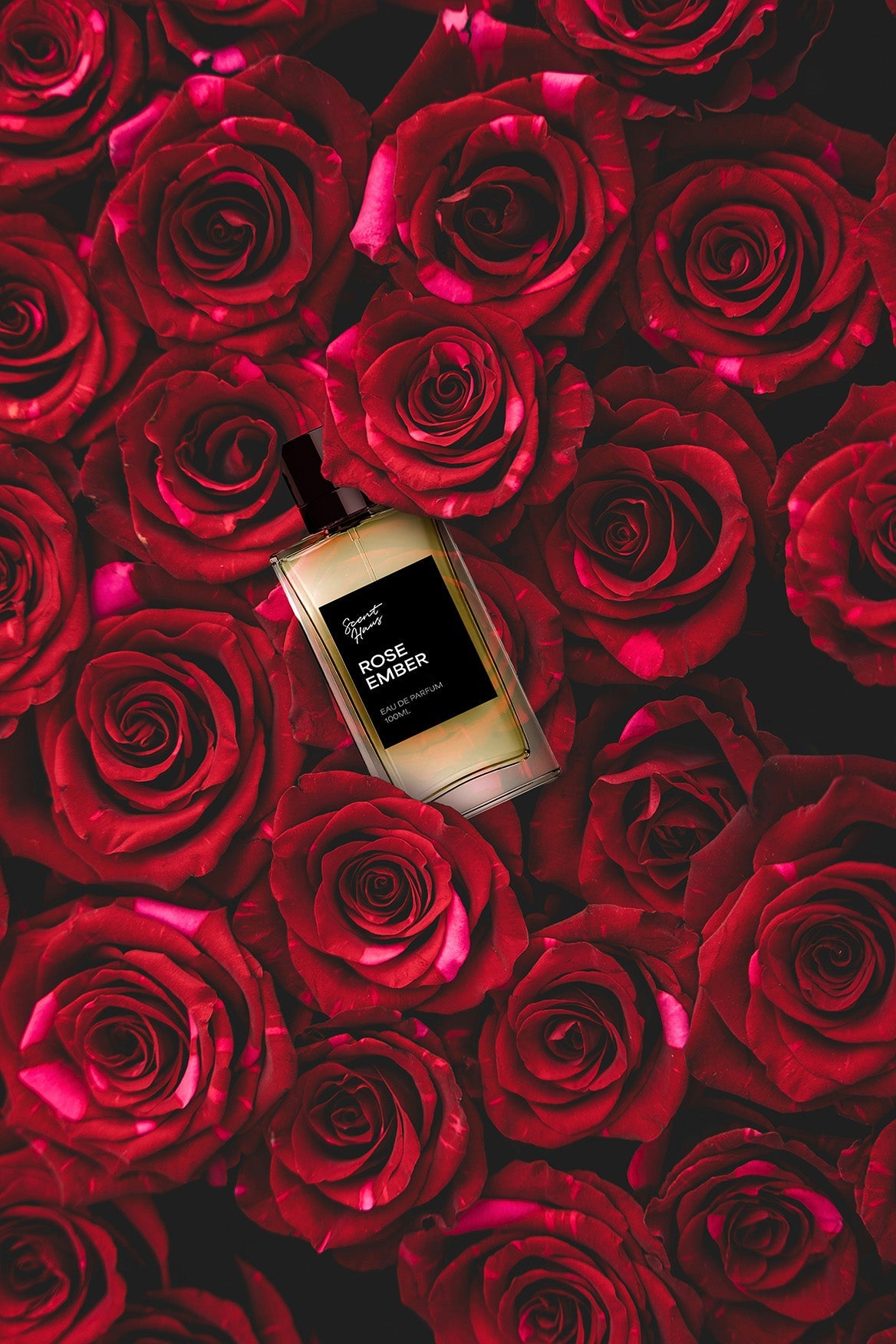 Rose Ember