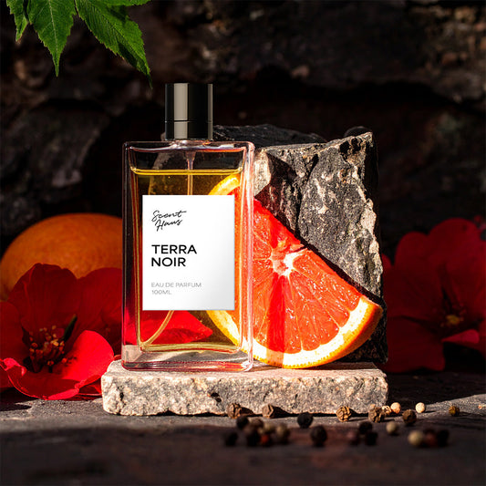 Terra Noir