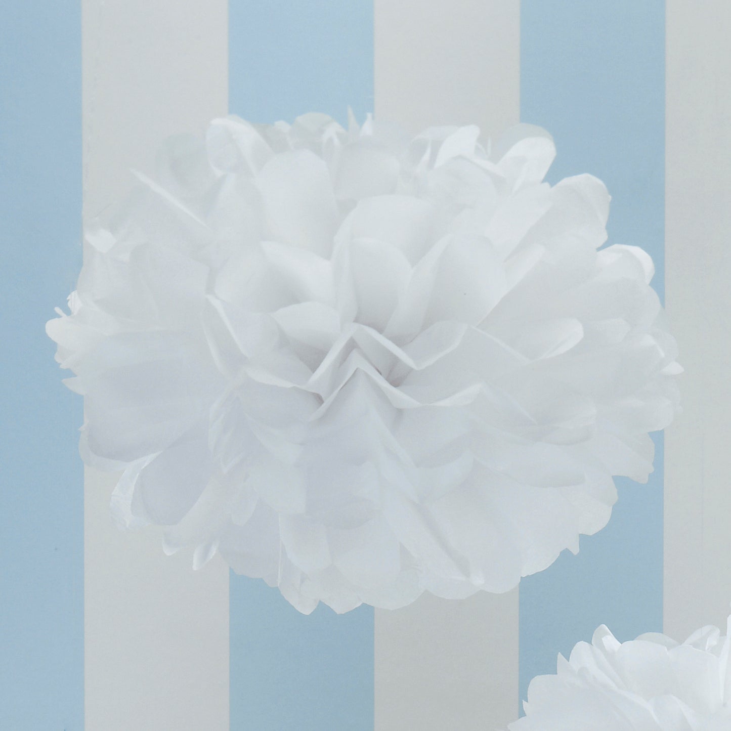 Tissue Paper Pom Poms - White - Vintage Lace