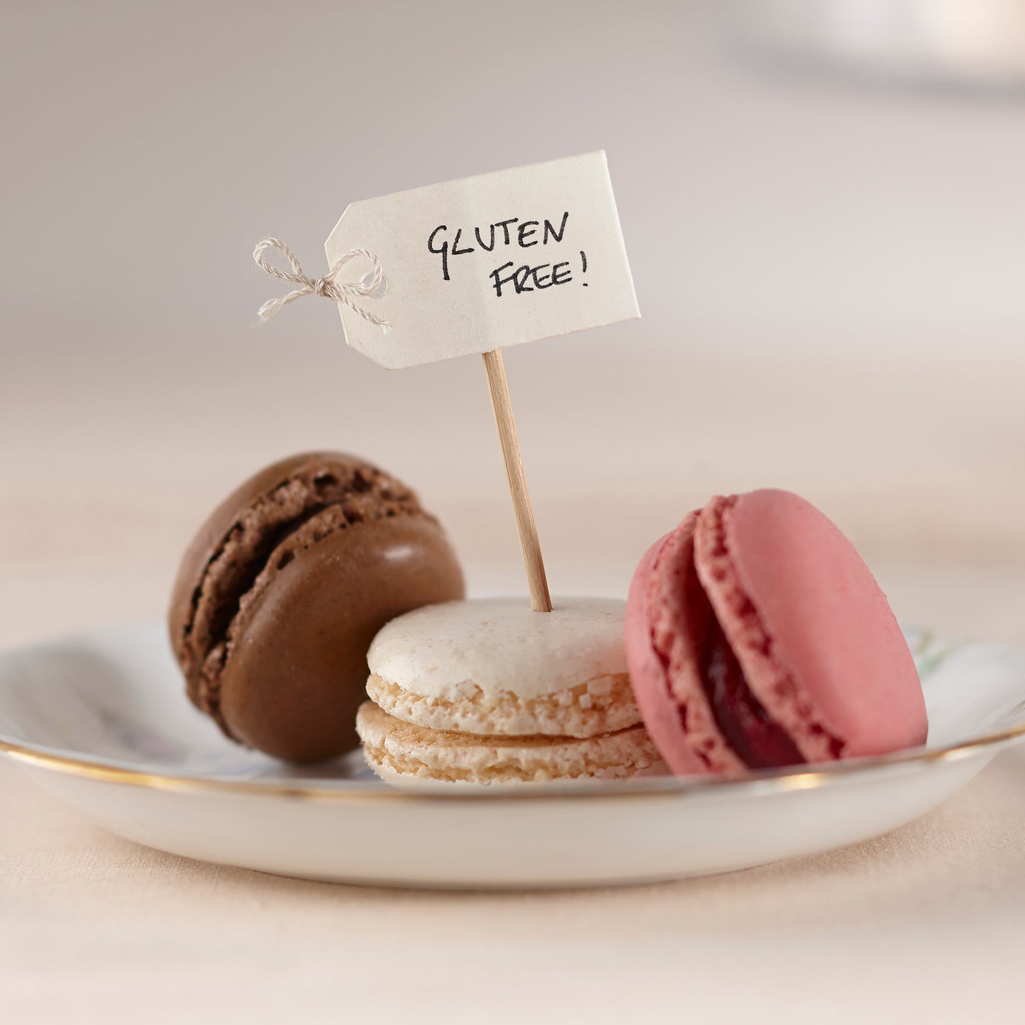 Ivory Blank Cupcake Sticks