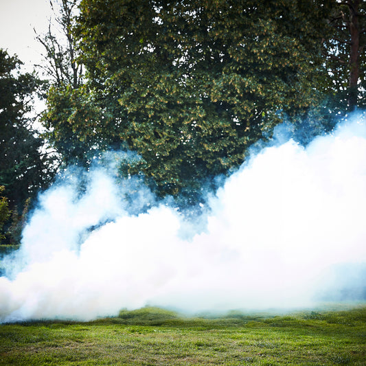White Wedding Smoke Bombs