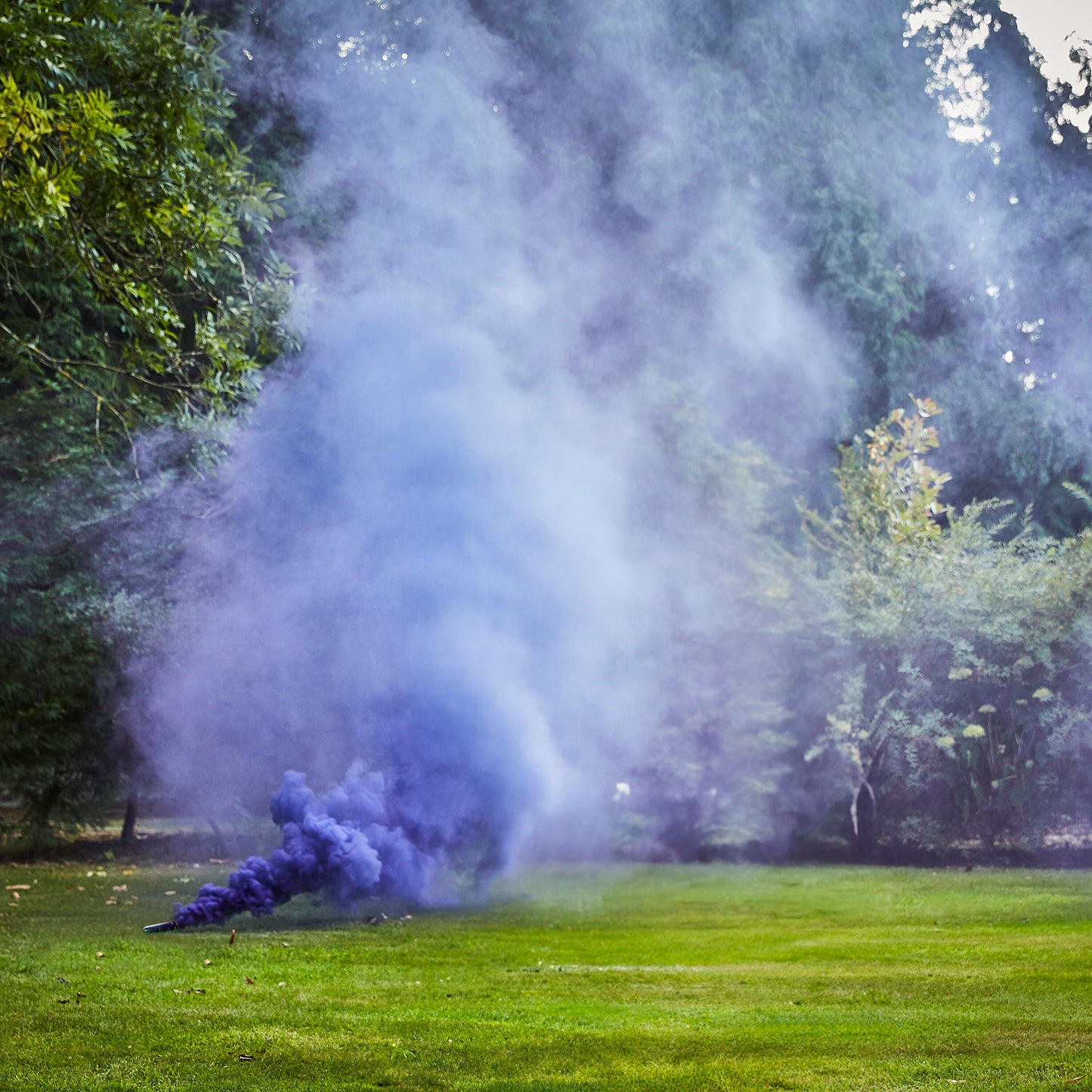 Purple Wedding Smoke Bomb