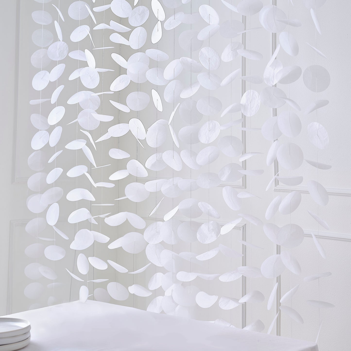 White Paper Disc Backdrop