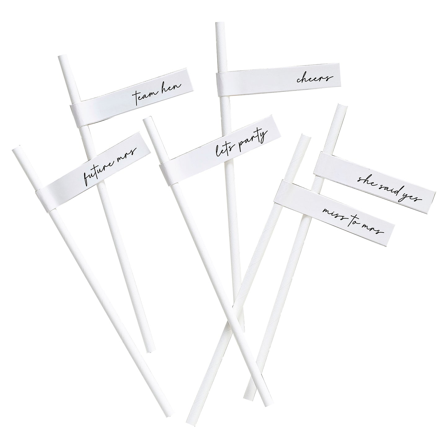 Team Bride Hen Party Paper Straws