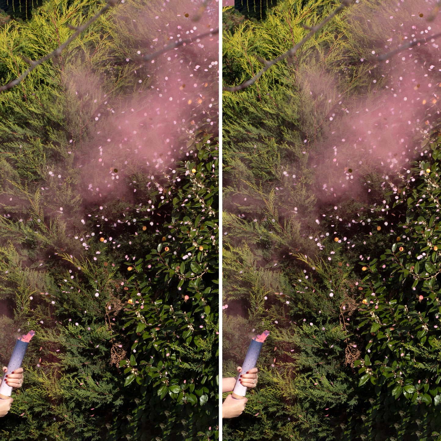 Pink Gender Reveal Smoke Cannon With Confetti - 2 Pack