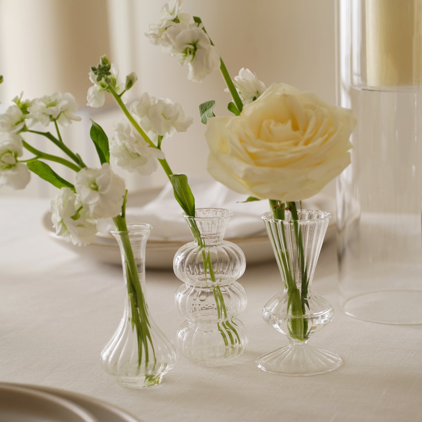 Shaped Clear Glass Bud Vases