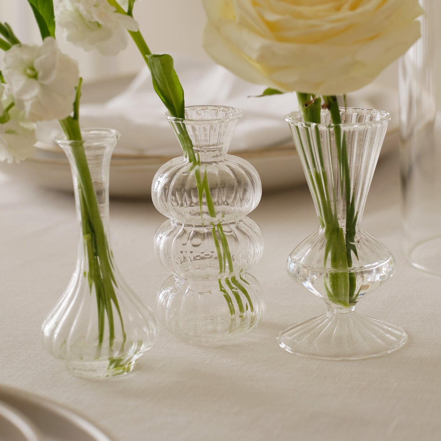 Shaped Clear Glass Bud Vases