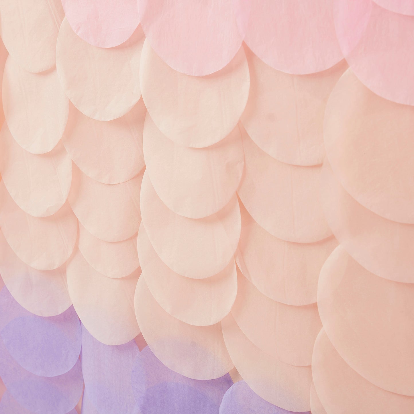 Pink and Lilac Tissue Paper Disc Party Backdrop