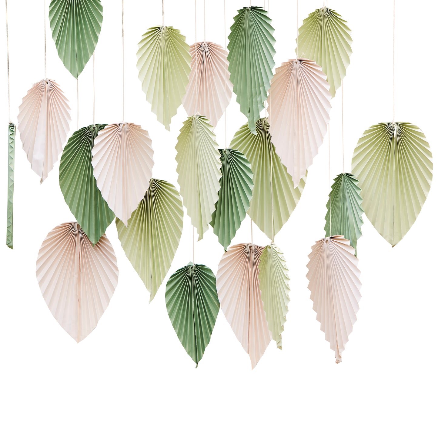 Sage & Cream Palm Backdrop