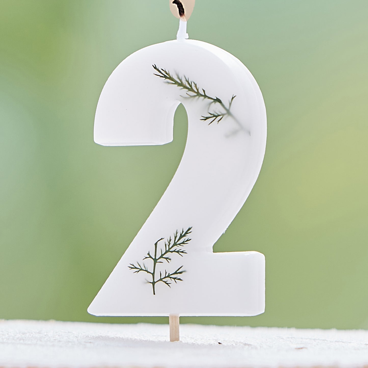 Leaf Foliage Number 2 Birthday Candle