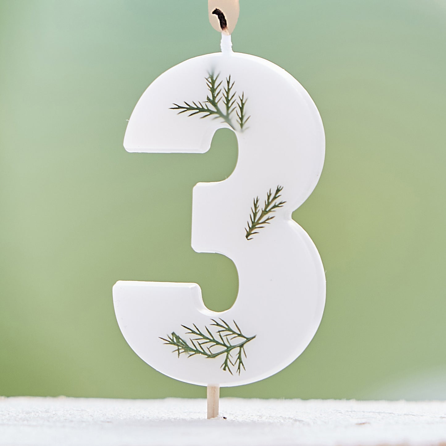 Leaf Foliage Number 3 Birthday Candle