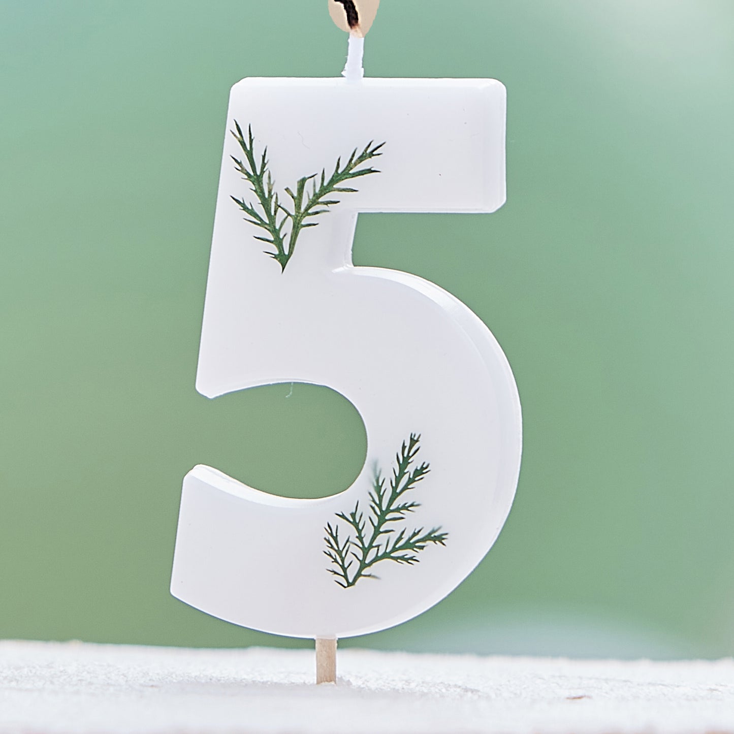 Leaf Foliage Number 5 Birthday Candle