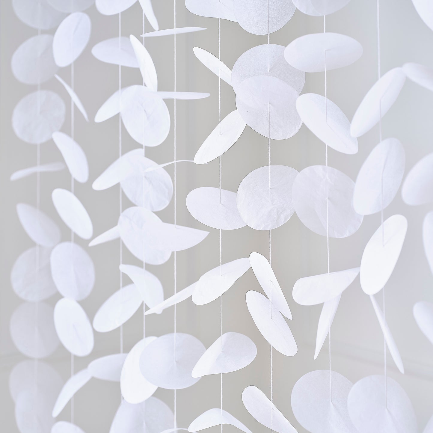 White Paper Disc Backdrop