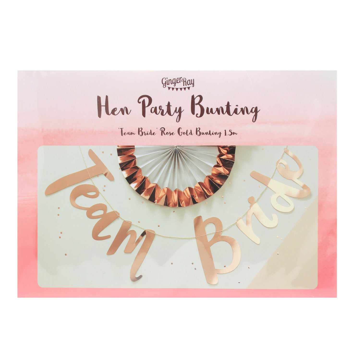 Rose Gold Hen Party Bunting Backdrop