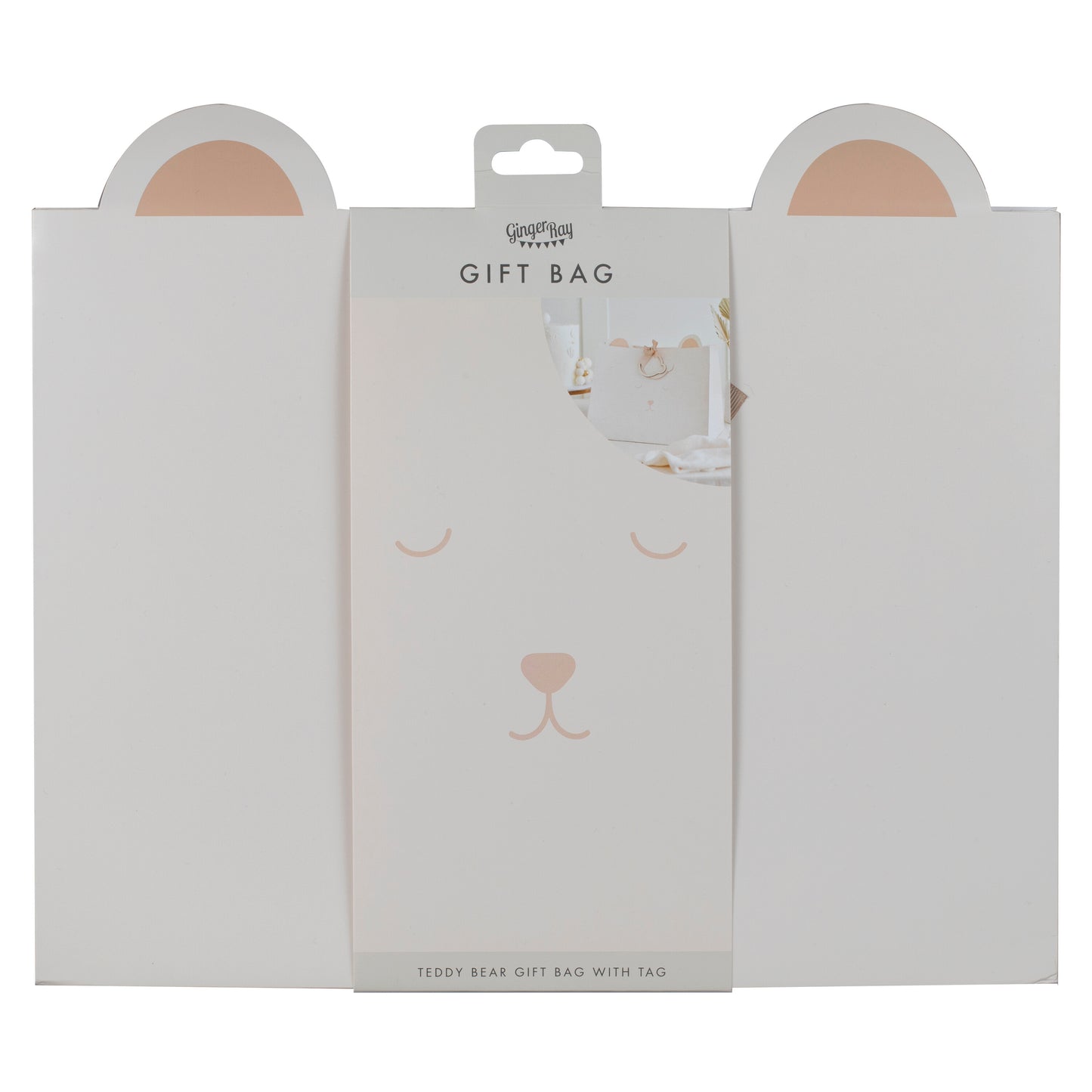 Teddy Bear Baby Shower Gift Bag