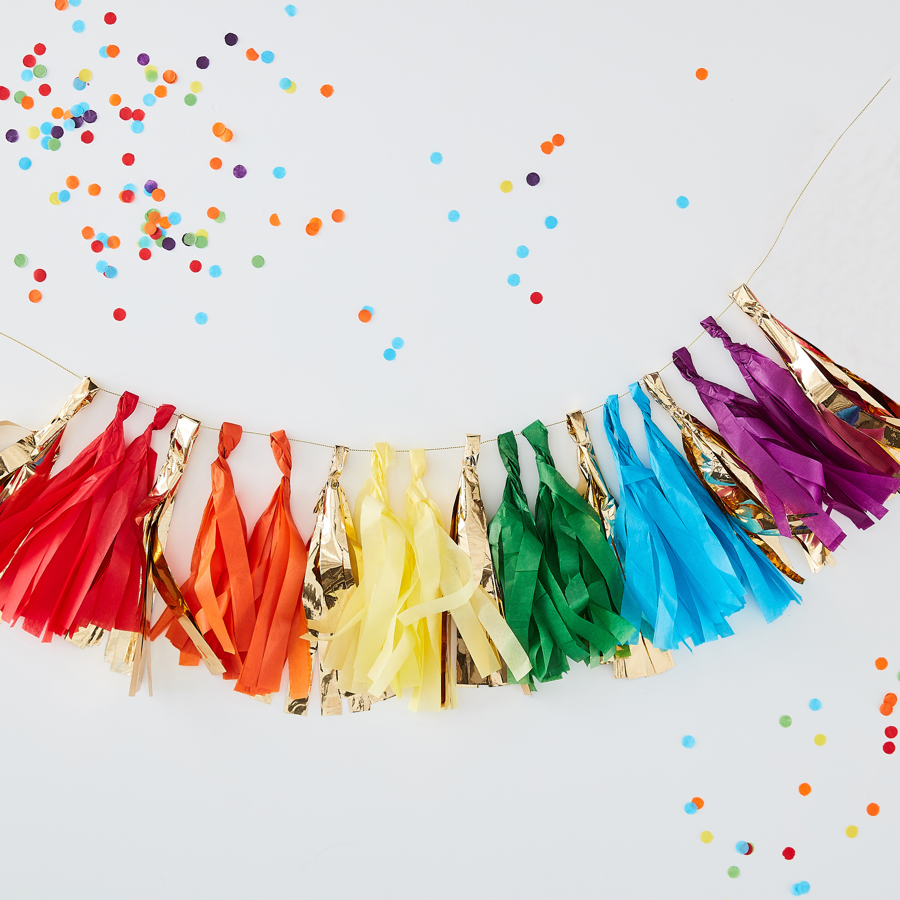 Multi Coloured Rainbow Tassel Garland Decoration Ginger Ray Ginger Ray