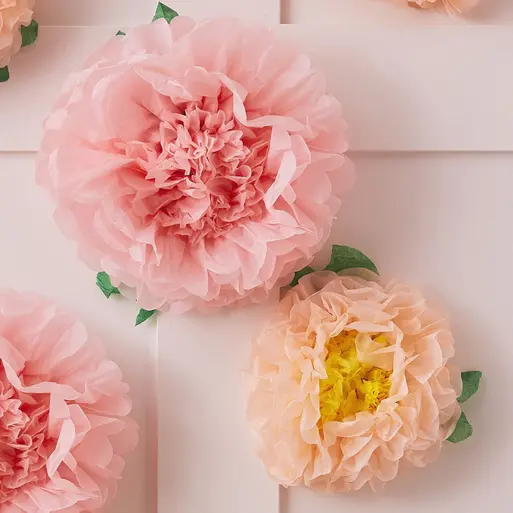 Tissue Paper Flowers Decoration Ginger Ray