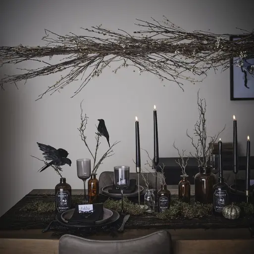 Ornamental twigs uk outlet