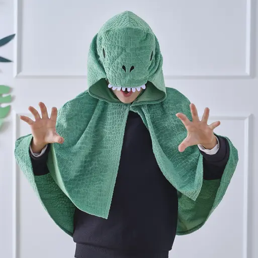 Childrens dinosaur best sale dressing up outfit
