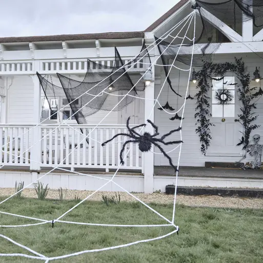 Giant shop spider web